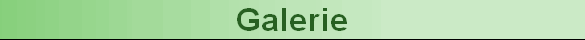 Galerie
